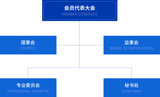 富文本內容